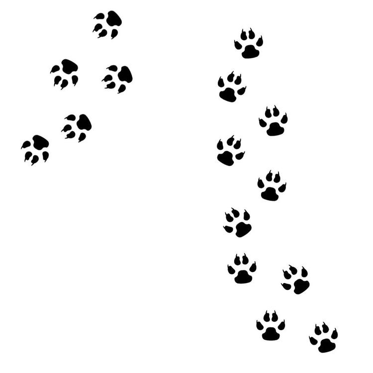Väggklistermärken paw djurspår svart, 15 st.