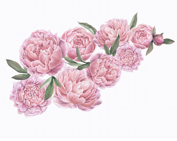 Rosa pioner väggklistermärken, väggdekoration L