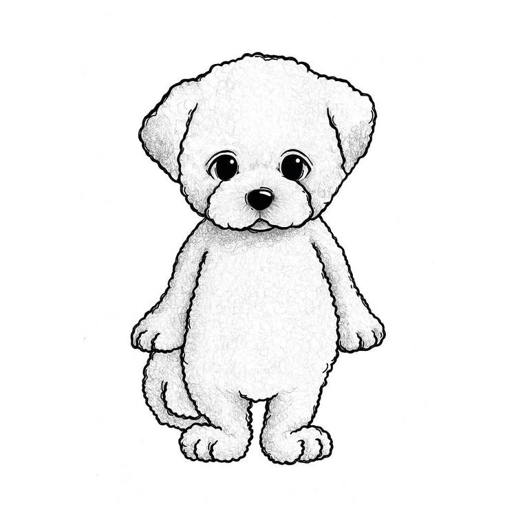 Stickstay Bichon frisén Sugar